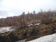 rra delle Concazze-20100425 011